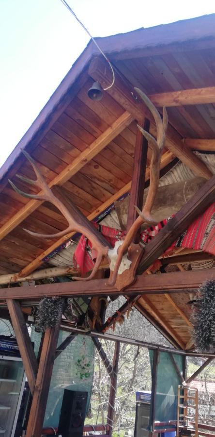 Pensiune Piatra Mare Nehoiu Bagian luar foto