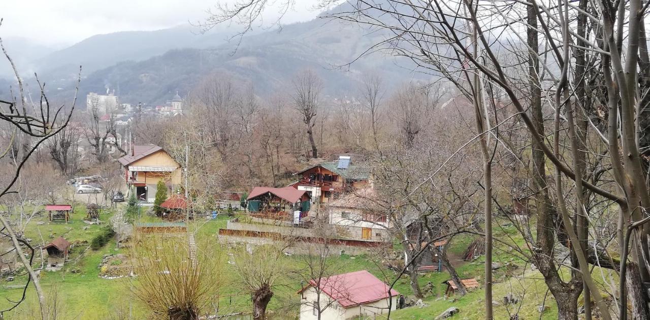 Pensiune Piatra Mare Nehoiu Bagian luar foto