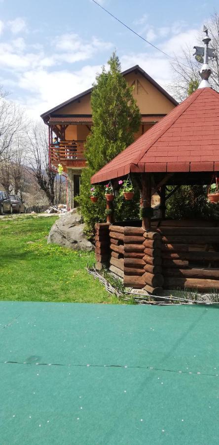 Pensiune Piatra Mare Nehoiu Bagian luar foto